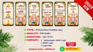 WPDN 16 | Marathi Wedding Invitation Video Card With Doodle | मराठी व्हिडिओ लग्नपत्रिका