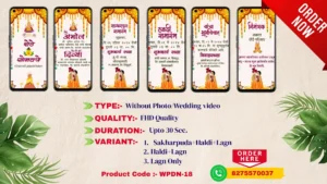 WPDN 18 | Marathi Wedding Invitation Video Card With Doodle | मराठी व्हिडिओ लग्नपत्रिका