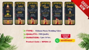 WPDN 13 | Marathi Wedding Invitation Video Card | मराठी व्हिडिओ लग्नपत्रिका