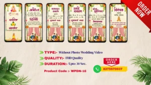 WPDN 16 | Marathi Wedding Invitation Video Card | मराठी व्हिडिओ लग्नपत्रिका